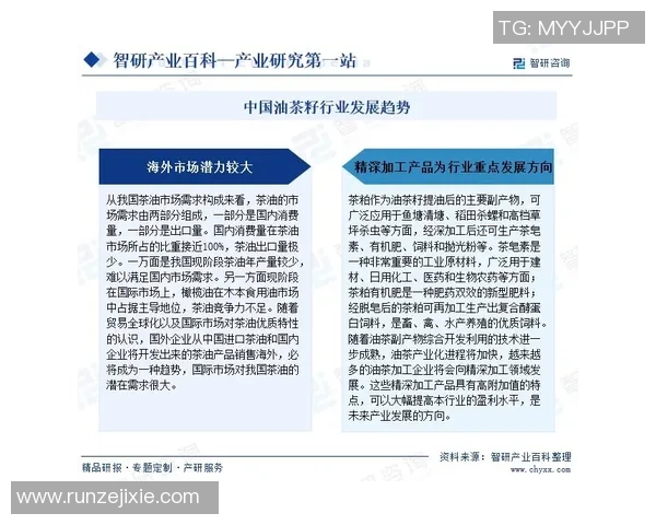 深度解读球星卡足球288收藏价值与未来市场发展趋势分析 深度解读球星卡足球288收藏价值与未来市场发展趋势分析