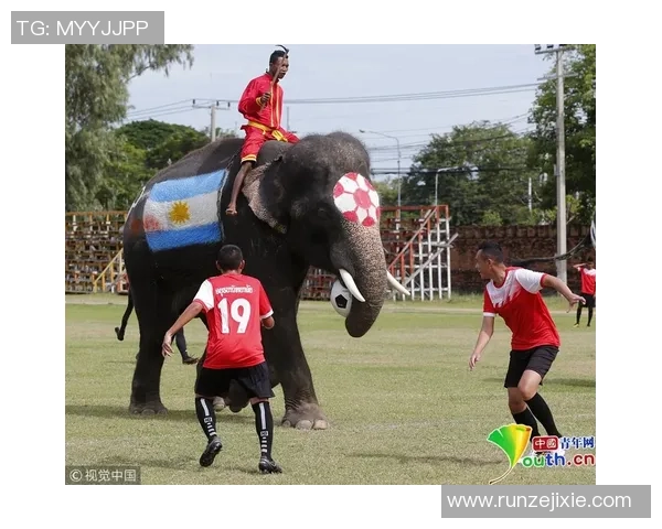 细数当今足坛顶级球星独特技术风格与惊艳球场表现 细数当今足坛顶级球星独特技术风格与惊艳球场表现